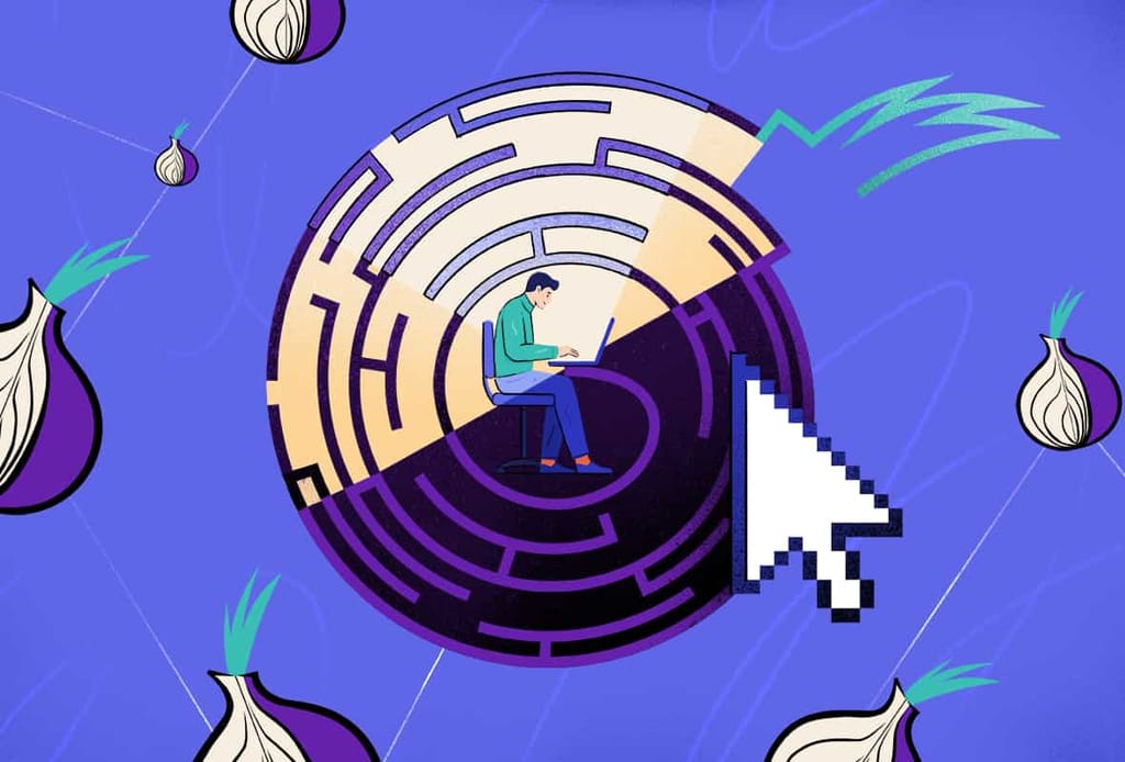 What is Onion Over VPN & How Can You Use It Safely? [Explained]
