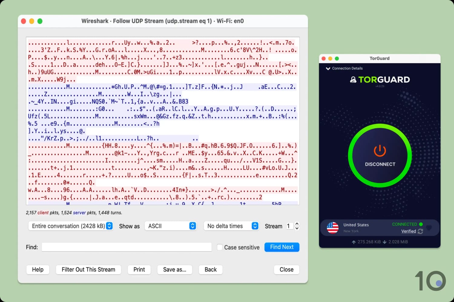 TorGuard wireshark results.