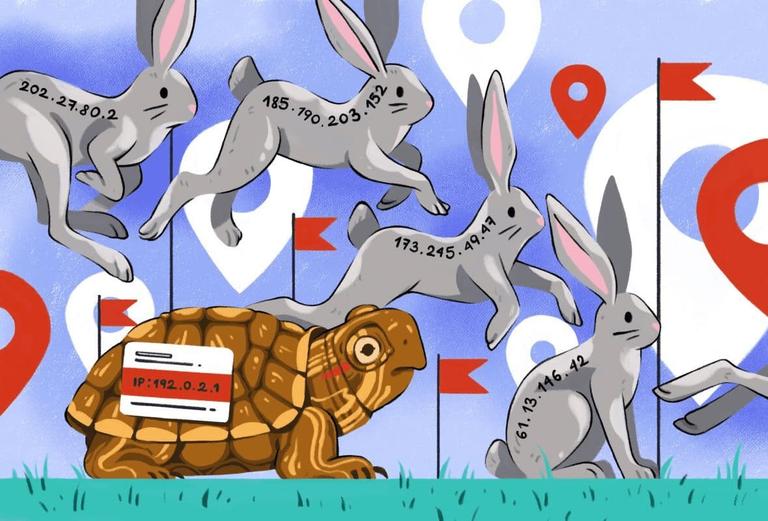 Graphical illustration of a tortoise and a hare labelled with IP addresses