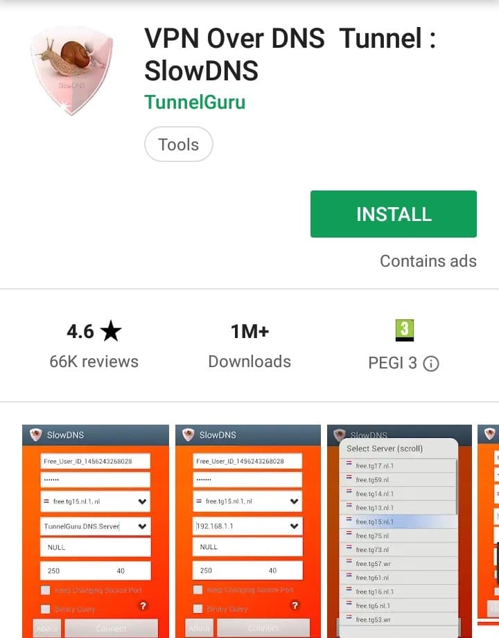 Slow DNS Play Store screenshot