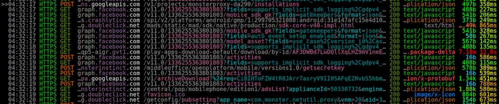 Screeshot of network traffic capture using mitmproxy