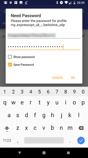 ExpressVPN OpenVPN login screen