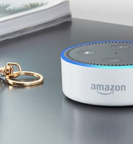 Alexa Emotions