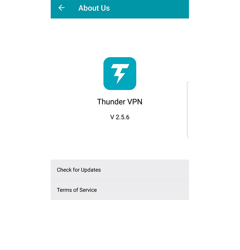 Captura de pantalla de la sección de información de Thunder VPN