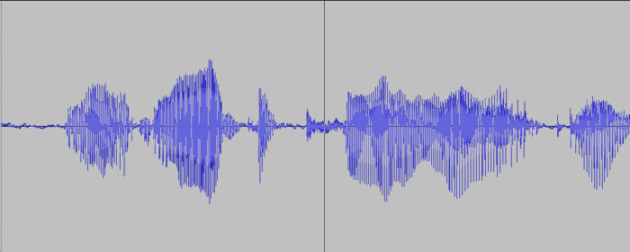 Voice print sample