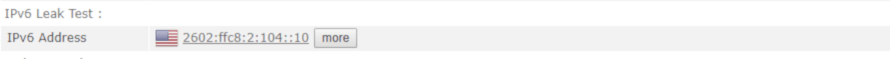 Screenshot of IPv6 Leak Test While Connected to Perfect Privacy