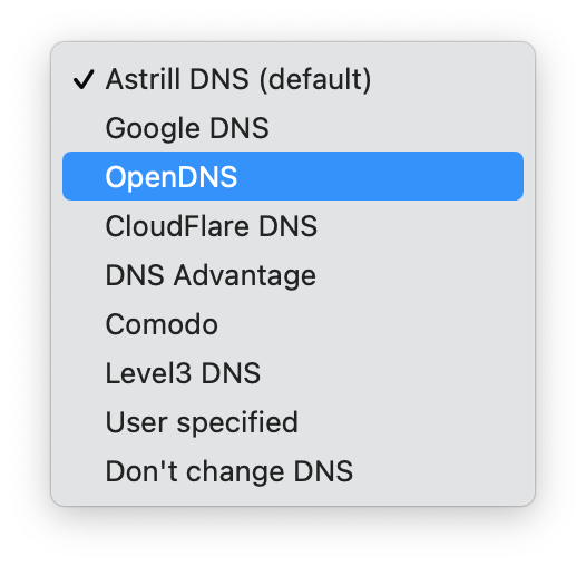 Schermata delle opzioni dei server DNS di Astrill.