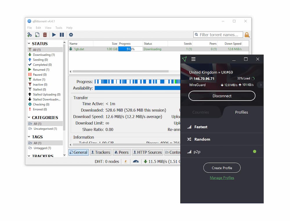 Using Proton VPN to safely download a torrent file