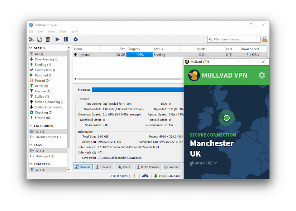 Prueba mullvad Qbittorrent