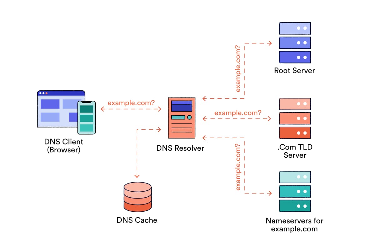 How the DNS resolver finds out the IP address for a website