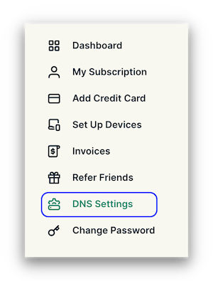 ExpressVPN DNS Settings