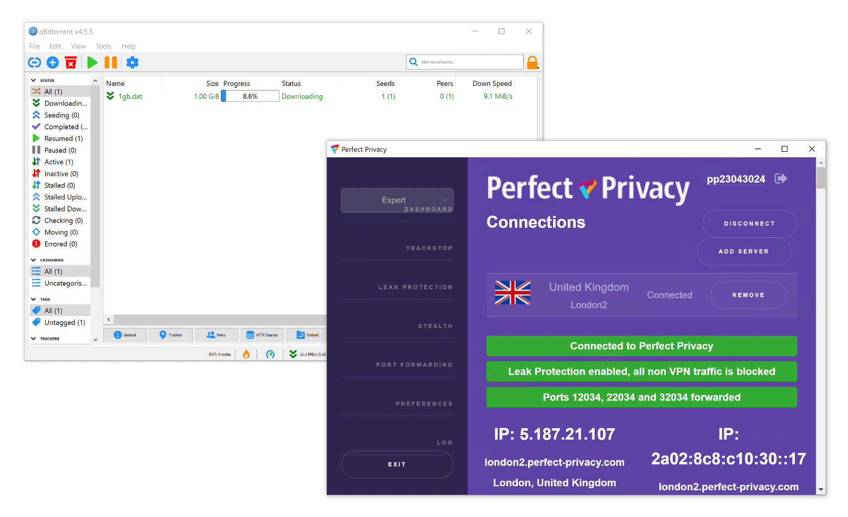 Testing Perfect Privacy's torrenting speeds