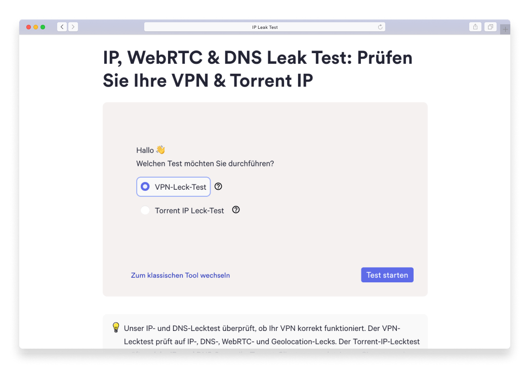IP-Leck-Test
